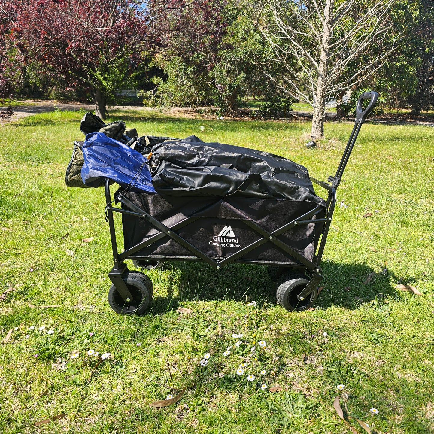 Beach Trolley Cart