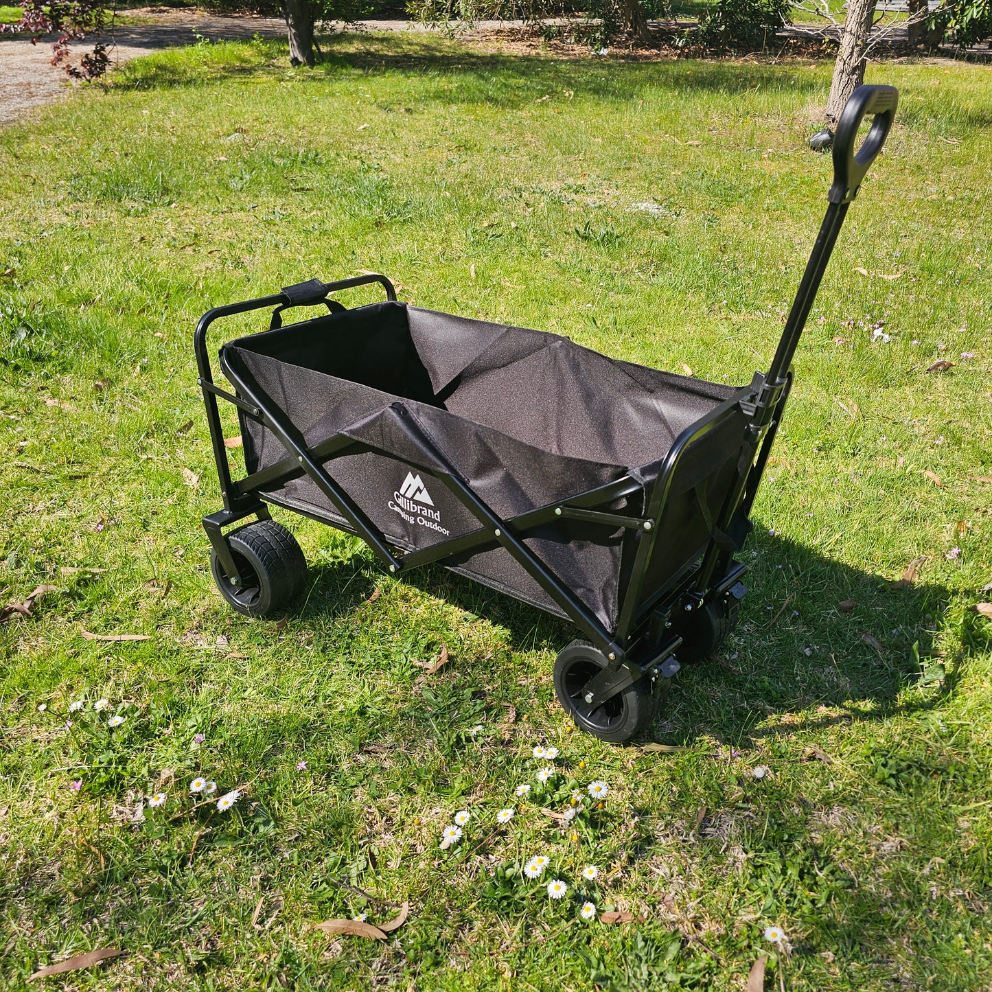 Beach Trolley Cart