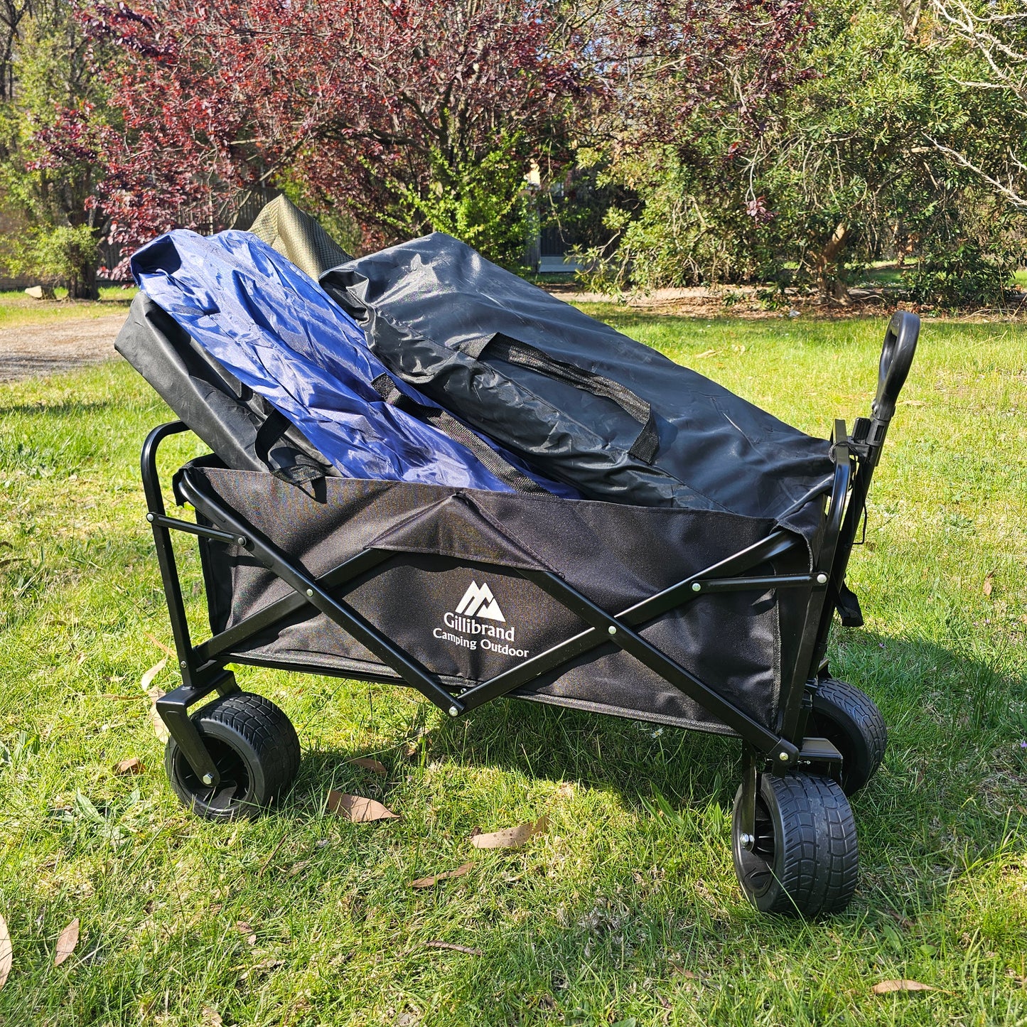 Beach Trolley Cart