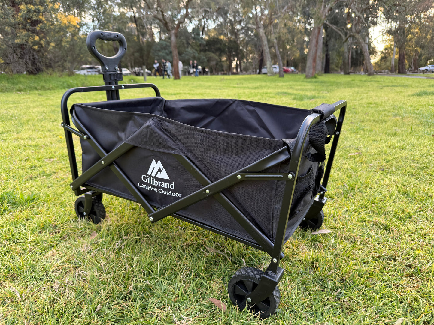 Black camping trolley cart